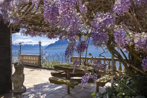 Exceptional Property in the Heart of Lavaux