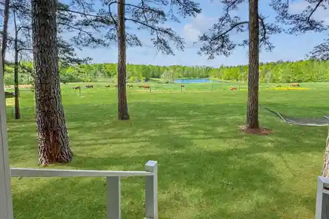 Amazing Equestrian and Sporting Property Retreat