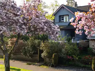 Beautiful Oversized Corner Lot