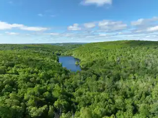 Spectacular 353 Acres with Lake