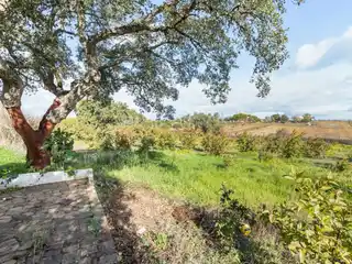 Spacious Villa with Large Orchard