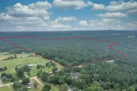 240 Acres of Prime Timberland