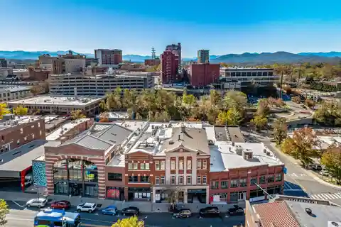 Magnificent Downtown Asheville Home