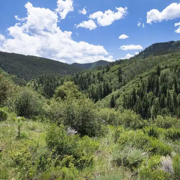 18-ACRE PARCEL IN GATED COLOROW