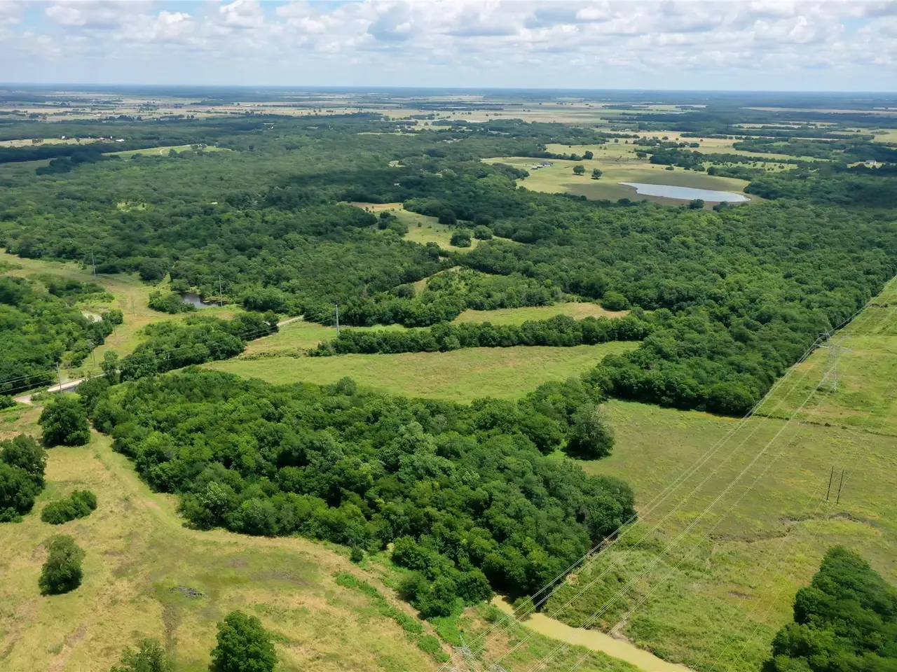 Large Image