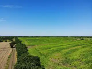 Expansive and Versatile Property