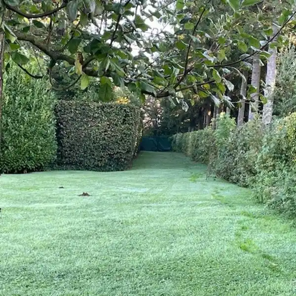 BEAUTIFUL BUILDING PLOT