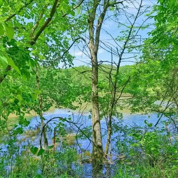 Land
