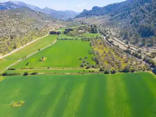 Fantastic Property in Orient