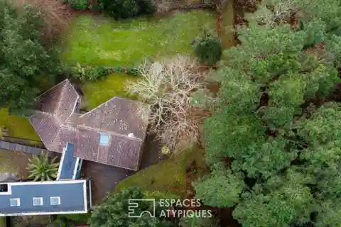 Unique Home at the Forest's Edge