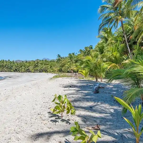 MALPAíS BEACHFRONT LOT WITH PRIVATE BAY