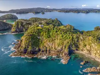 Eagles on Motuarohia