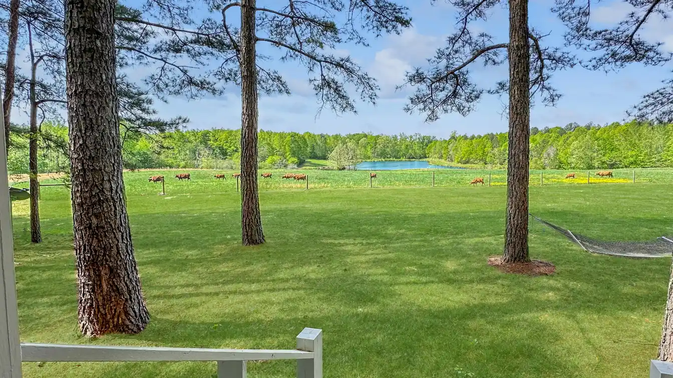 Amazing Equestrian and Sporting Retreat
