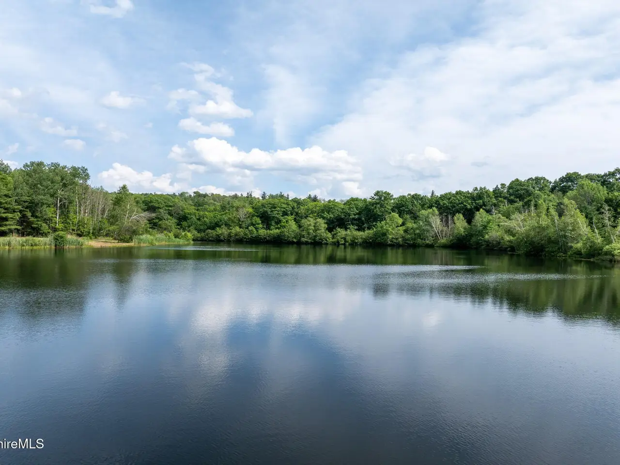 Large Image