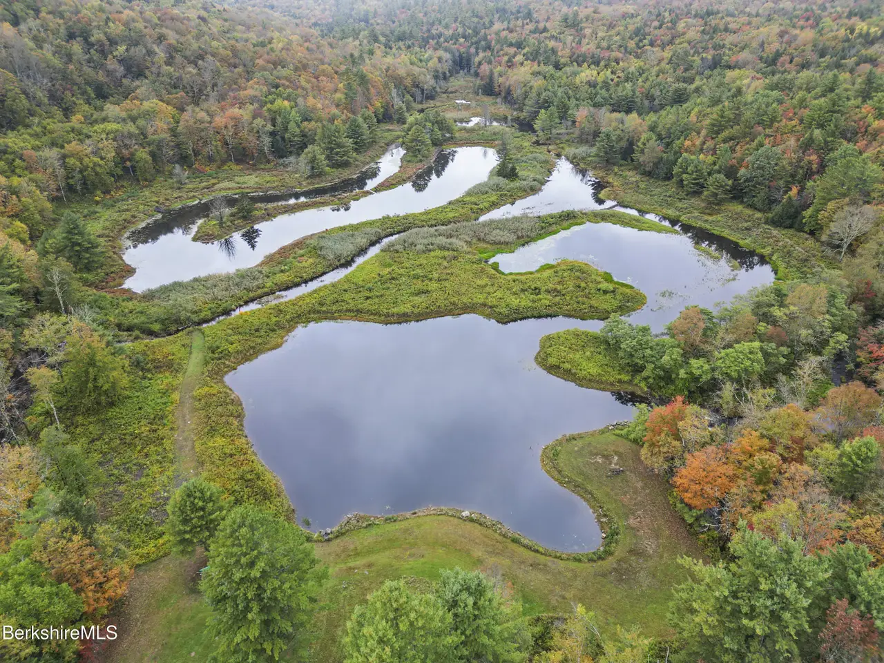 Large Image