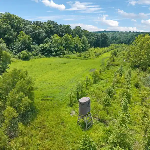 PREMIER WHITETAIL PROPERTY WITH CABIN LODGING
