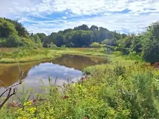 Picturesque 5.7-acre Lot Ready to Build Your Dream Home