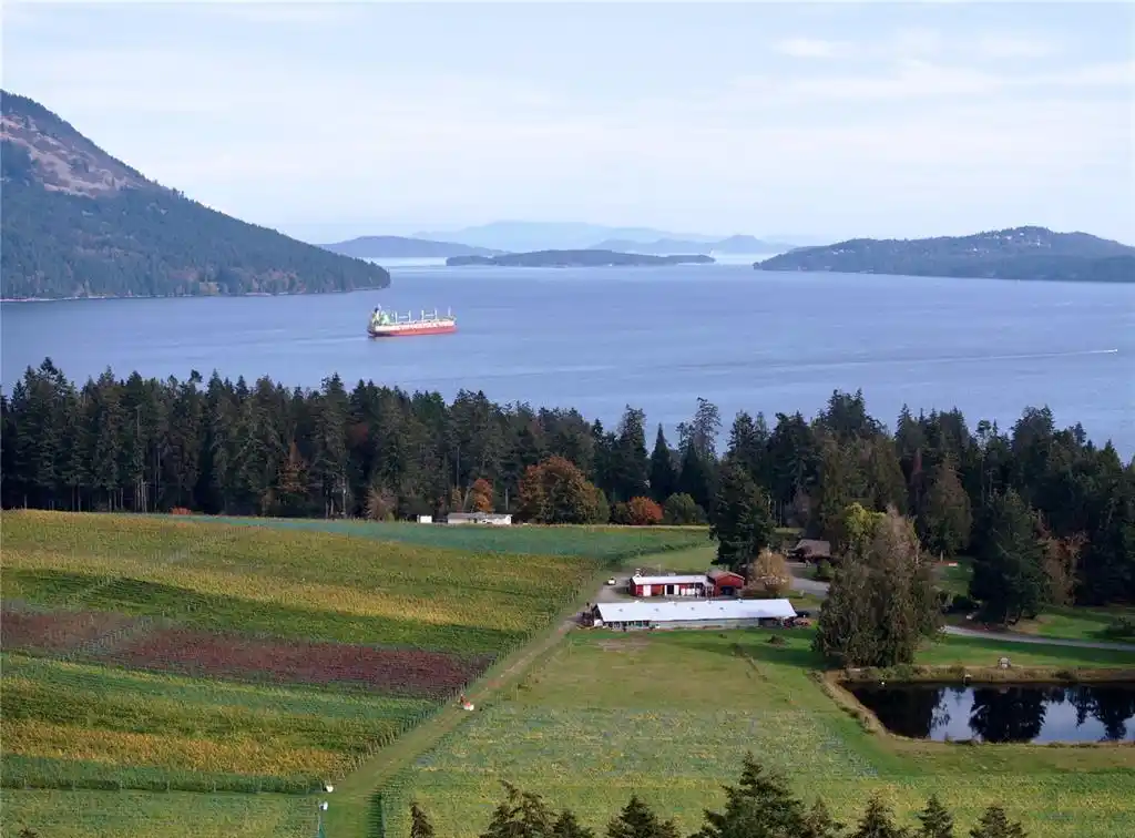 Cherry Point Estate Wines