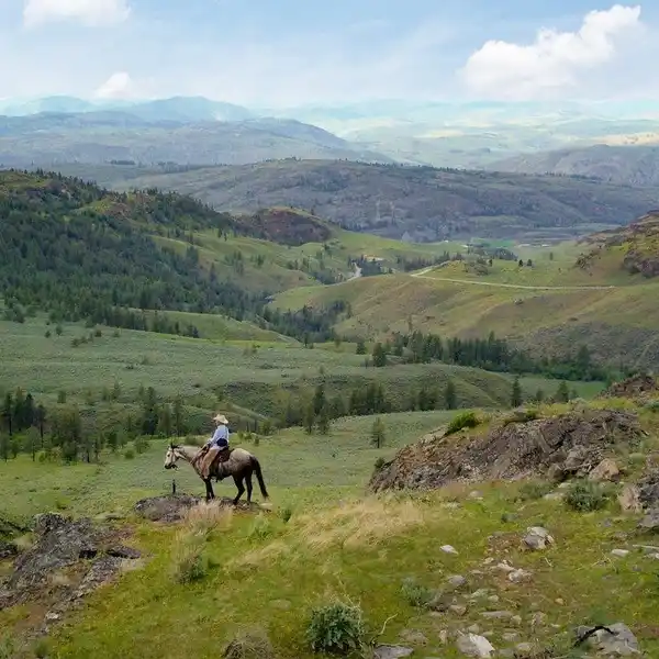 TUNK CREEK RANCH - 536 ACRES OF COUNTRYSIDE SET ABOVE THE OKANOGAN RIVER