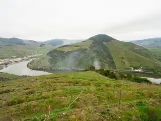 Distinctive Riverfront Wine Estate