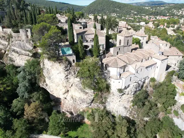 Large Image