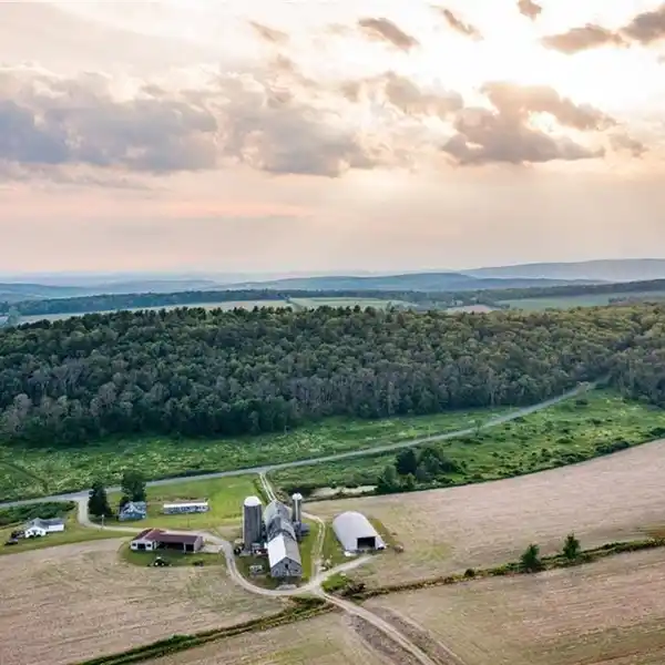Land