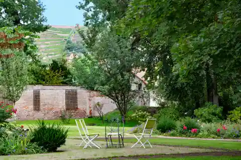 Renovated Circa 1870 Villa with Vineyard Views