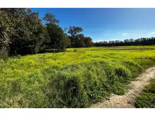 Stunning 12-Hectare Farm