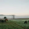 Ranch