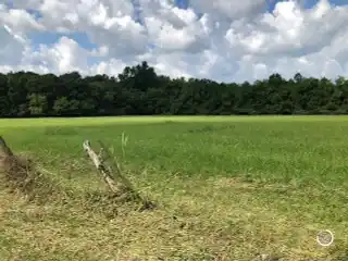 Gorgeous 3.57 Acres