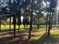 LARGE FAMILY HOME ON AN EXPANSIVE EQUESTRIAN PLOT