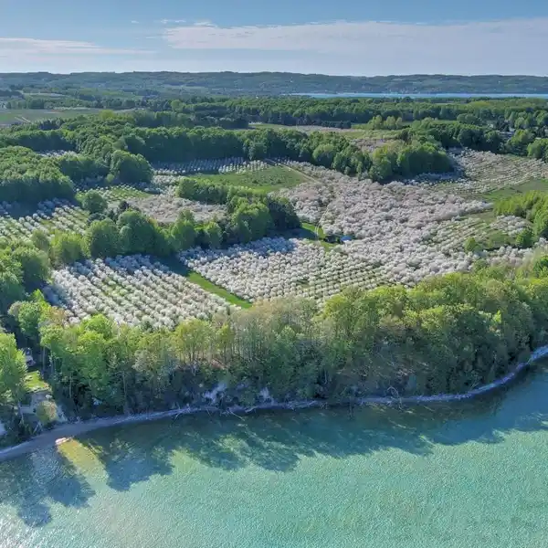 PREMIUM LOCATION ON THE STONY POINT PENINSULA