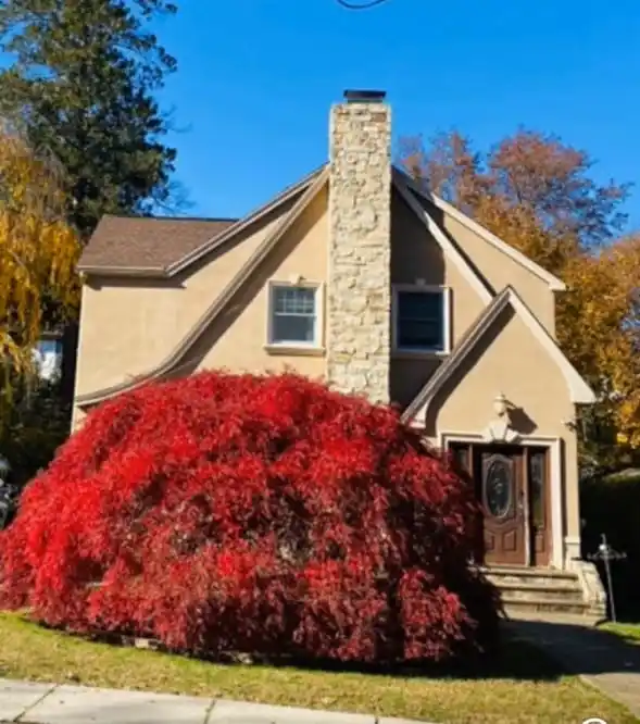 Exceptional Four-bedroom Colonial