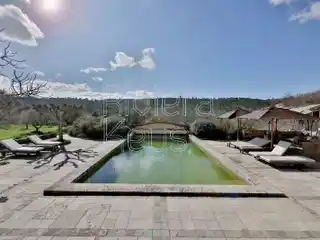 Peace and Tranquility in Provence