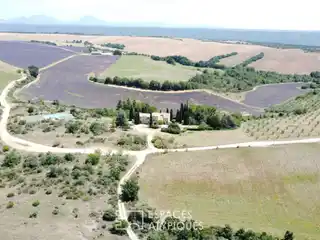 An Idyllic Provencal Art of Living