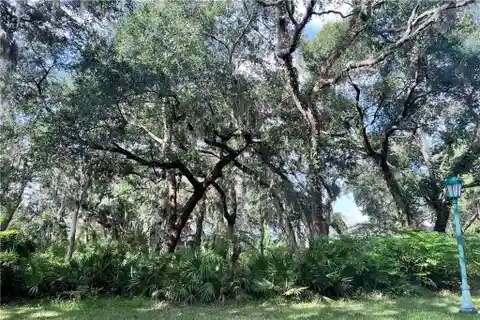 Wooded Corner Lot on Sea Island