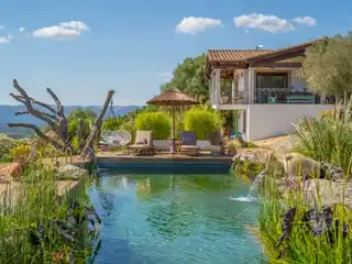 Nature-Integrated Home with Eco-Friendly Biological Pool