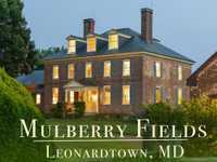 MULBERRY FIELDS