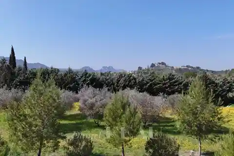 Create a Dream Home in a Superb Location