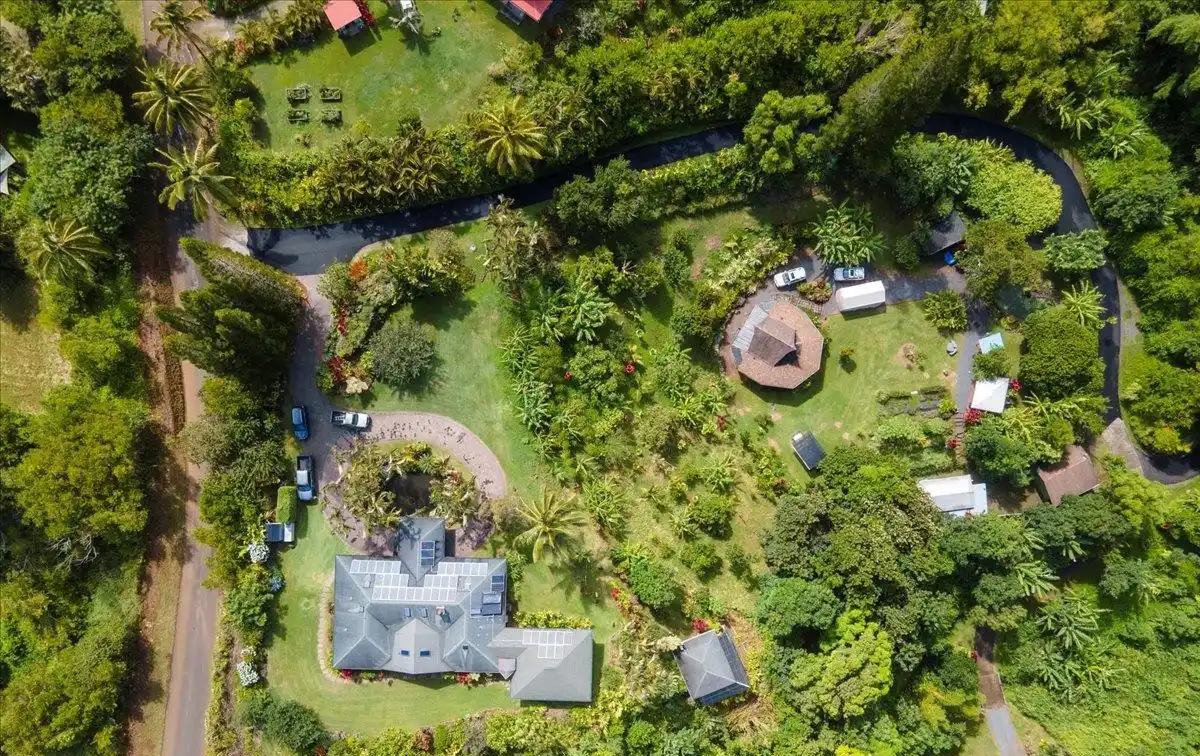 Lush Garden Sanctuary