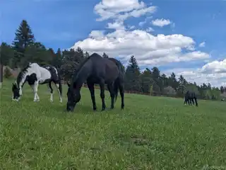 Doubleheader Ranch