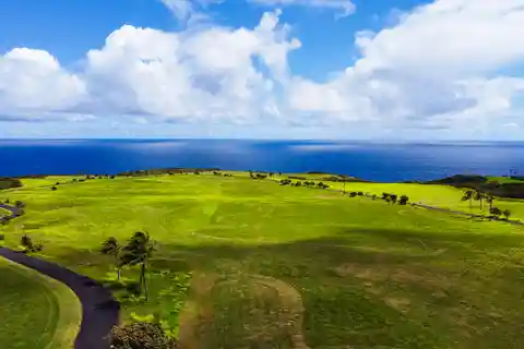 The Crown Jewel of Pe’ahi Farms