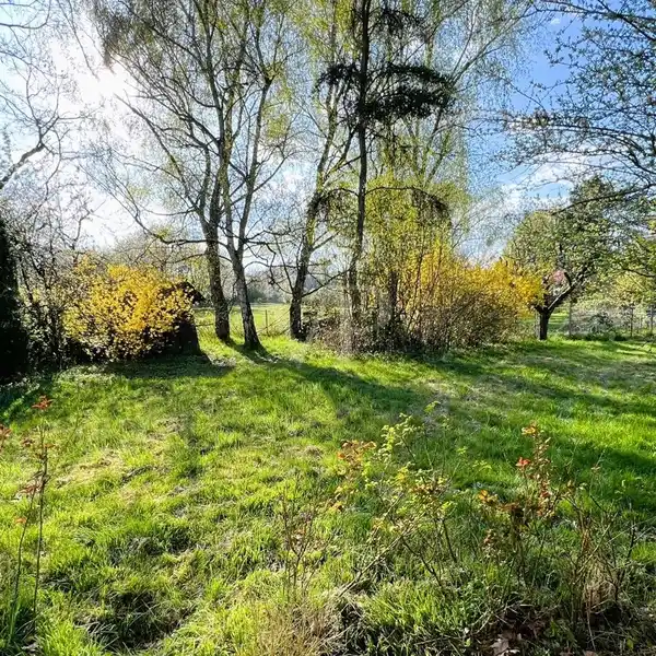 LIVING ON ONE LEVEL SPACIOUS BUNGALOW IN A PICTURESQUE FIELD EDGE LOCATION