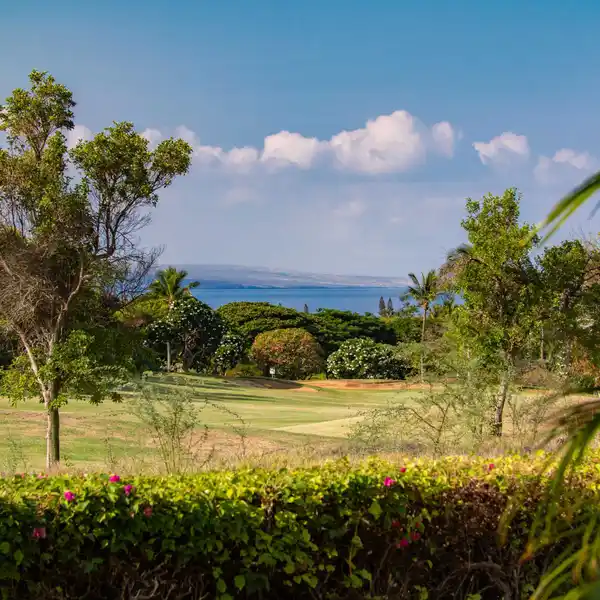 BEAUTIFULLY UPDATED HOKULANI GOLF VILLAS RESIDENCE