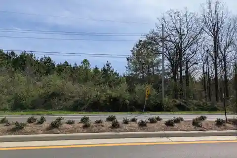 Secluded Nine-Plus Acres