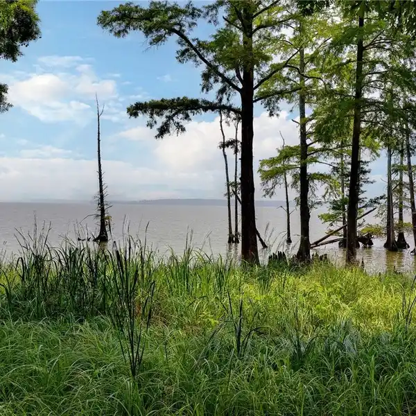 THOUGHTFULLY DESIGNED AND EXECUTED HOME NEAR JAMES RIVER