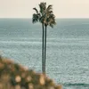 Waterfront