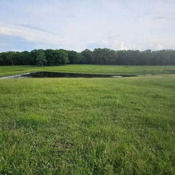 BEAUTIFUL 196-ACRE PROPERTY