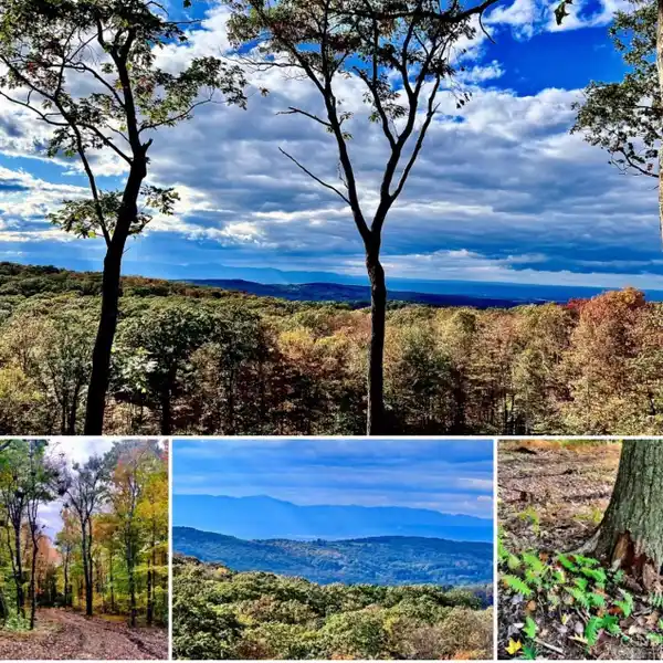 205 ACRES OF PURE BLISS