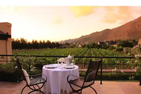 Vineyard Serenity Meets Modern Luxury Living